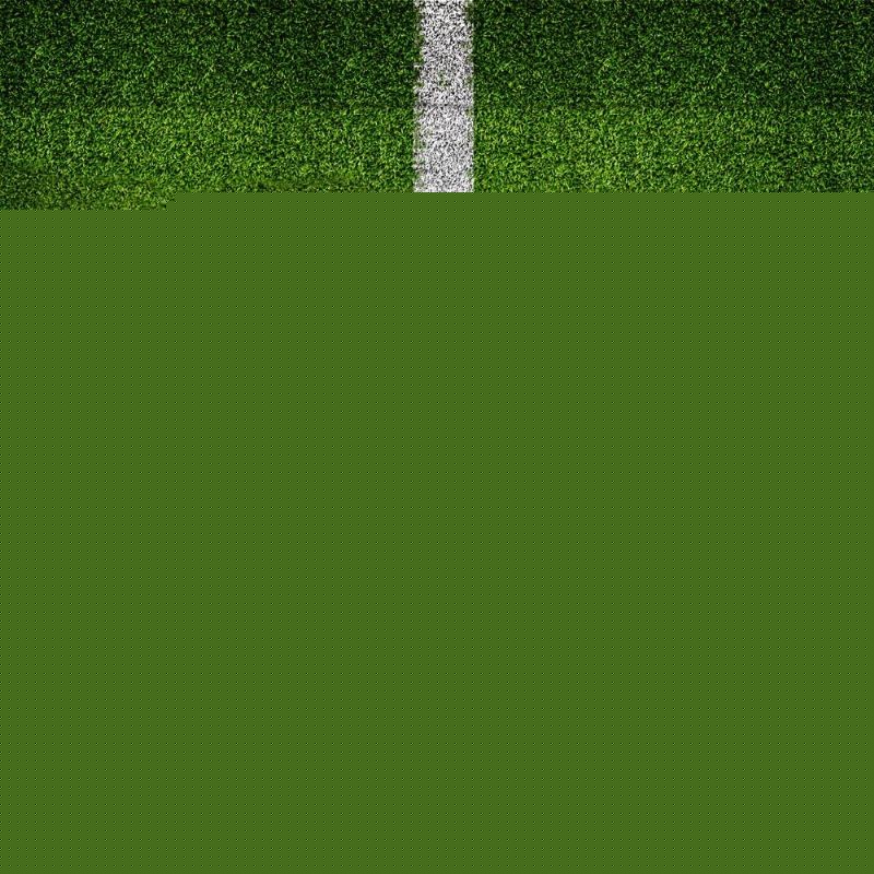 很大不同 很大不同