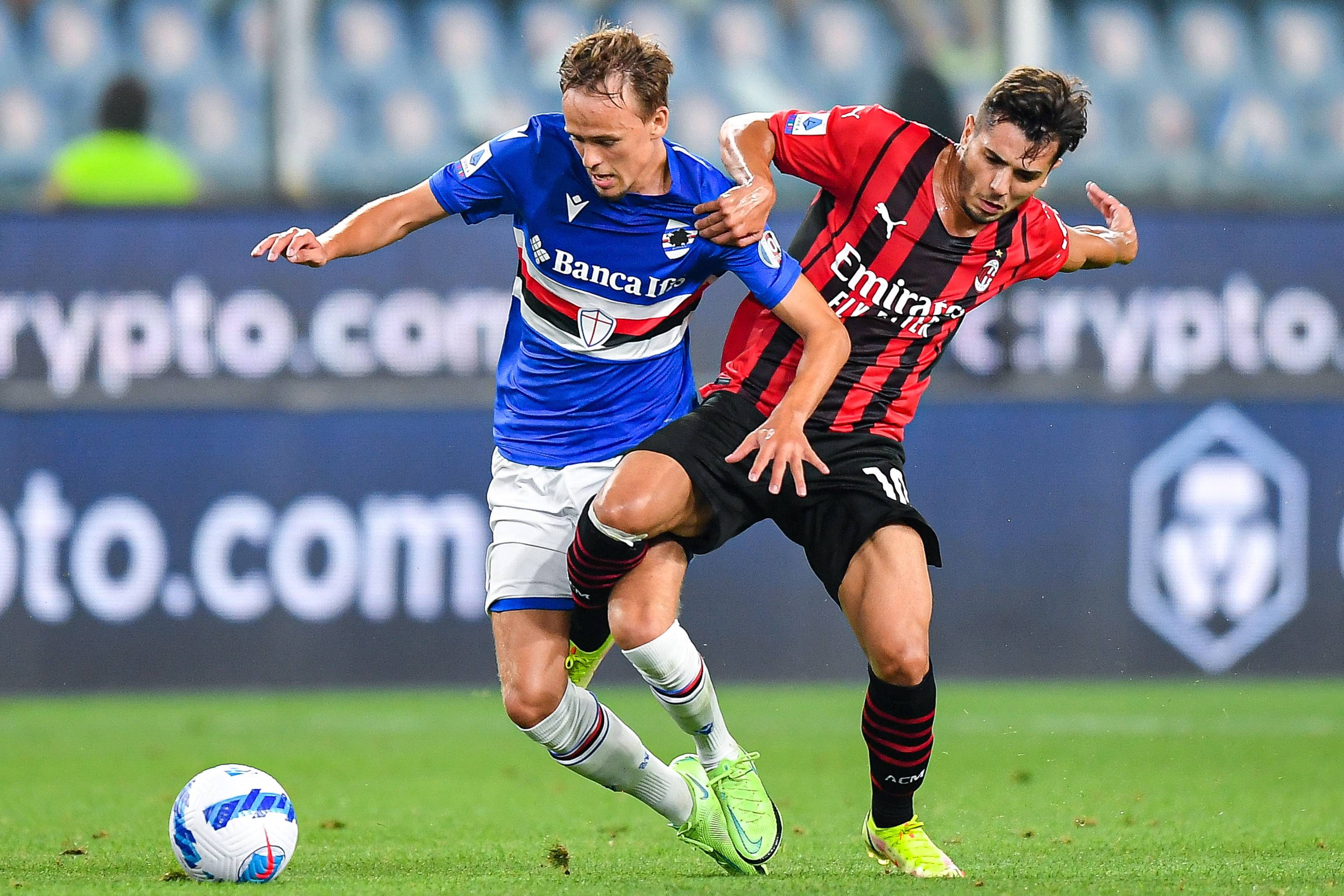 体中心的赛 体中心的赛