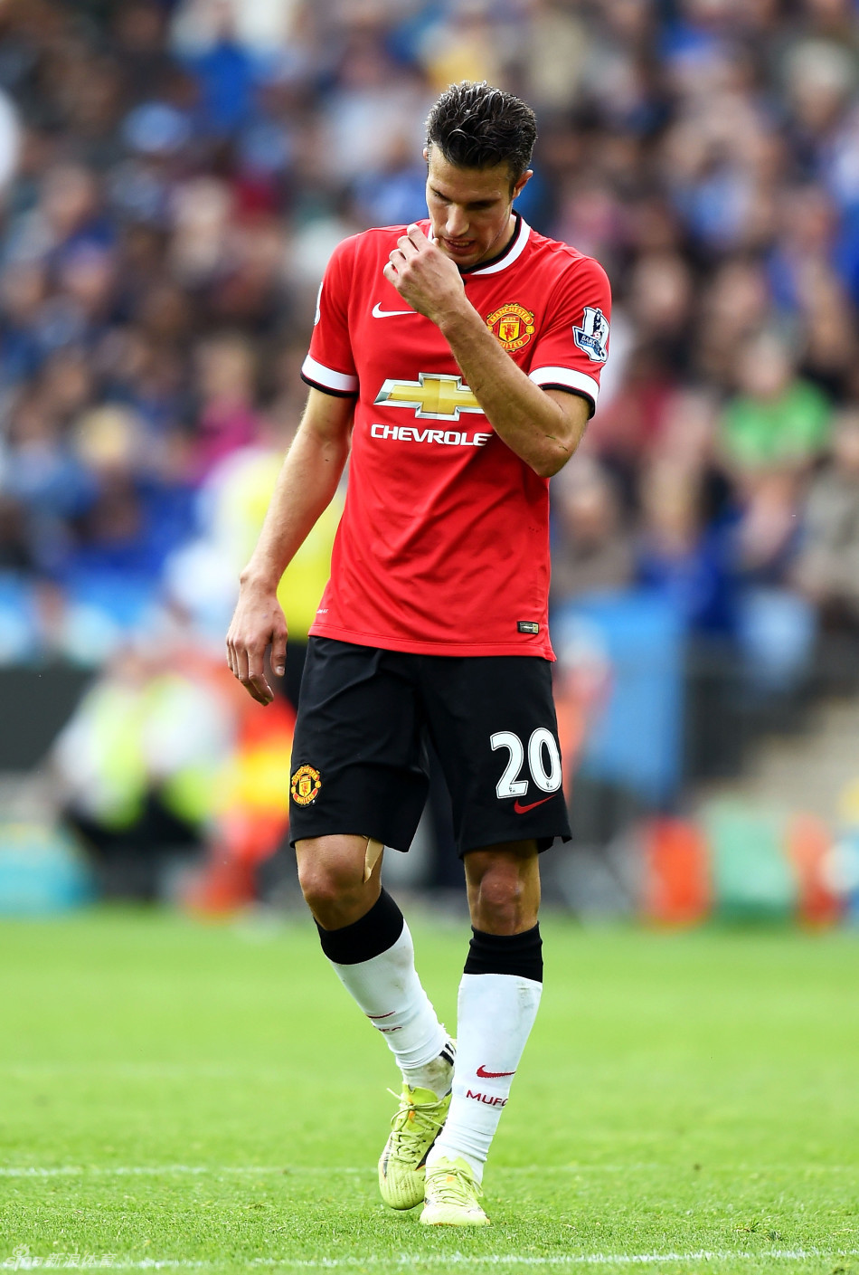 平台与社区 平台与社区